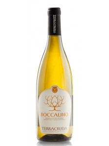 Boccalino Bianchello del Metauro 2014 | Terracruda | 75 cl